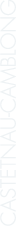 Polygon